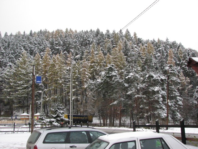 Restaurantul Il Refugio, Bradetu (2)